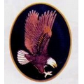 American Eagle Cloisonne Medallion Bolo Tie